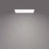 Griestu gaismeklis Philips Functional Panel 36 W LED taisnstūrveida 300×1200×42 mm, balts