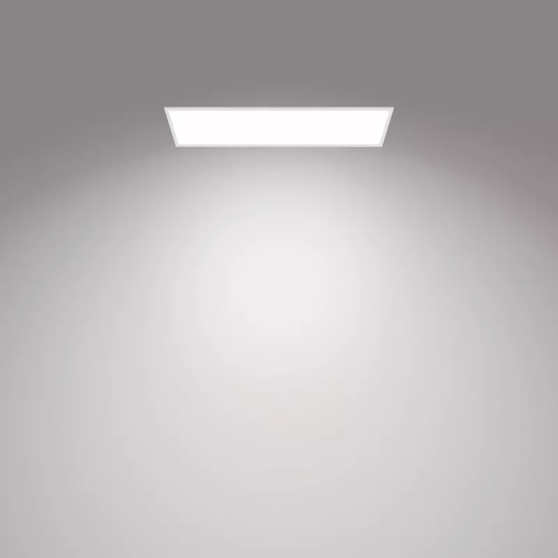 Griestu gaismeklis Philips Functional Panel 36 W LED taisnstūrveida 300×1200×42 mm, balts