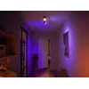 Philips Hue balta and colour ambience Centris 2-spot griestu gaisma
