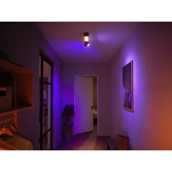 Philips Hue balta and colour ambience Centris 2-spot griestu gaisma