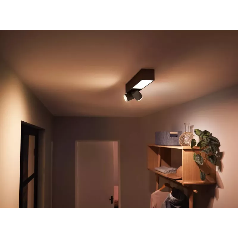 Philips Hue balta and colour ambience Centris 2-spot griestu gaisma