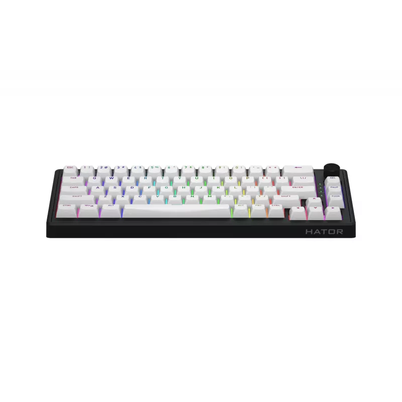 HATOR Skyfall Wireless 65 tastatūra Spēļu USB + RF bezvadu + Bluetooth QWERTY ASV angļu Melna, Balta