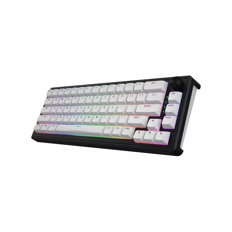 HATOR Skyfall Wireless 65 tastatūra Spēļu USB + RF bezvadu + Bluetooth QWERTY ASV angļu Melna, Balta