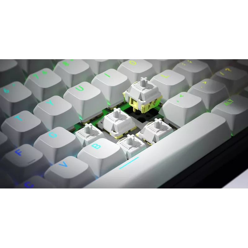 HATOR Skyfall Wireless 65 tastatūra Spēļu USB + RF bezvadu + Bluetooth QWERTY ASV angļu Melna, Balta