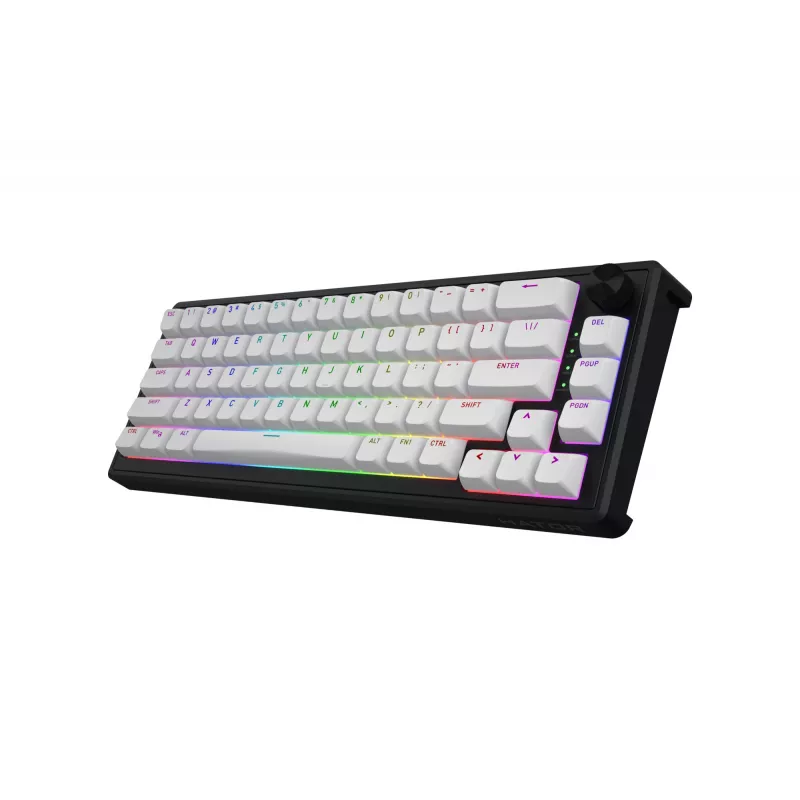HATOR Skyfall 65 MAG ULTRA 8K tastatūra Spēļu USB QWERTY US angļu Melns, Balts
