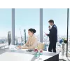 Philips DPM6700/03 transkripcijas/tulkošanas sistēma, pēdas vadības bloks