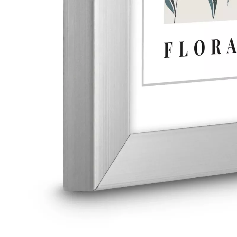Hama Flora viens attēla rāmis Sudraba krāsa