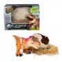 Jurassic World Primal Hatch interaktīvā rotaļlieta dinozaurs un ola, izšķiļ un apmāci savu mazo dino ar vairāk nekā 100 skaņām un reakcijām, bērnu rotaļlietas zēniem un meitenēm no 5 gadu vecuma