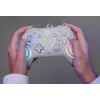 Vadu RGB spēļu kontrolieris Turtle Beach Afterglow Wave pelēkā krāsā — USB‑C, 3 m kabelis, paredzēts Nintendo Switch / Switch 2 / Switch OLED