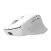 Bezvadu labās rokas biroja pele TRUST Niven — RF + Bluetooth, 3200 DPI, 7 pogas, ritenis, balta