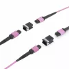ACT DisplayPort uz MTP/MPO adapteru komplekts DisplayPort savienojuma pagarināšanai līdz 8K@60Hz