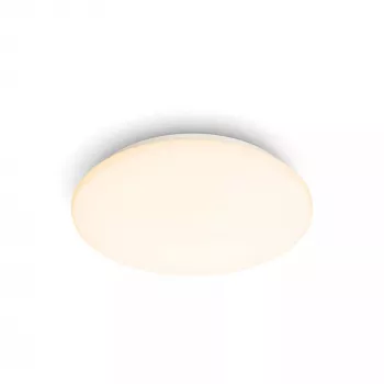 Philips Functional Moire griestu gaismeklis 10 W, LED, nemaināms(-i) gaismas avots(-i), 2700 K, 1000 lm, IP20, balts
