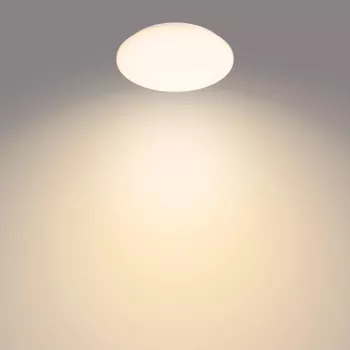 Philips Functional Moire griestu gaismeklis 10 W, LED, nemaināms(-i) gaismas avots(-i), 2700 K, 1000 lm, IP20, balts