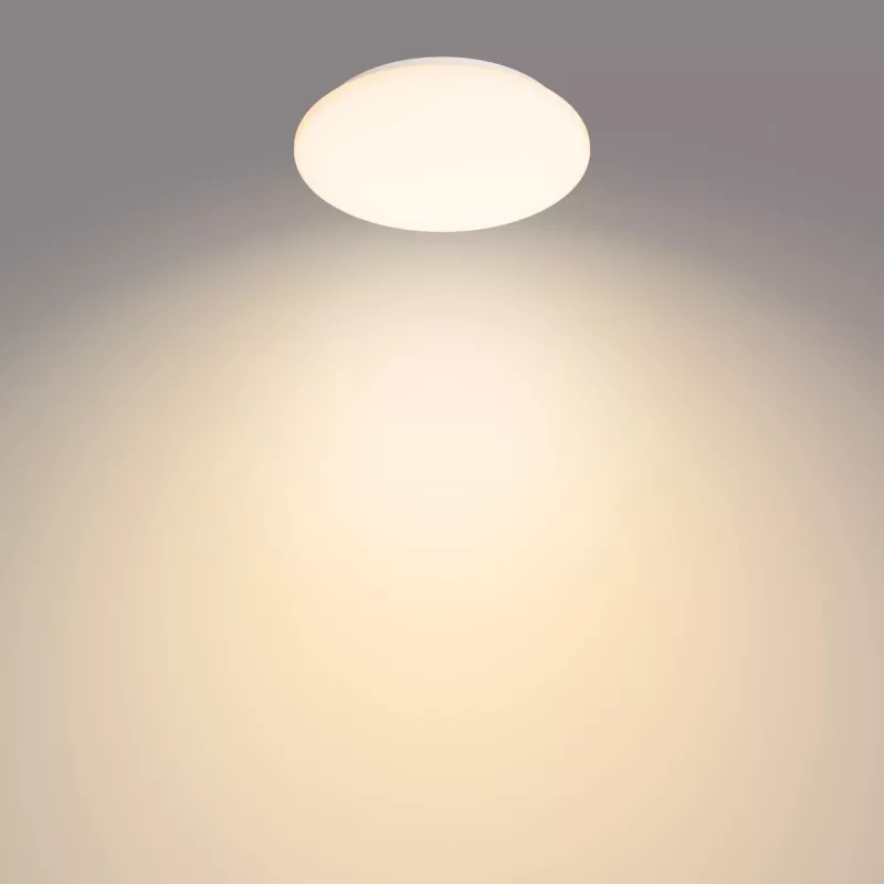 Philips Functional Moire griestu gaismeklis 10 W, LED, nemaināms(-i) gaismas avots(-i), 2700 K, 1000 lm, IP20, balts