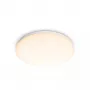 Philips Funkcionāls griestu gaismeklis, LED, Nenomaināma(-s) spuldze(-s), 2700 K, 1700 lm, IP20, Balts