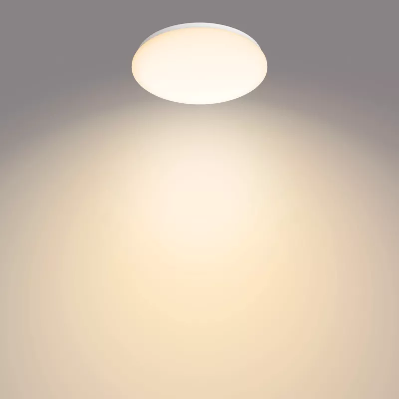 Philips Funkcionāls griestu gaismeklis, LED, Nenomaināma(-s) spuldze(-s), 2700 K, 1700 lm, IP20, Balts