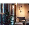 Viedā spuldze Philips 1 gab. ST72 E27 Filament Edison Bluetooth Zigbee