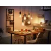 Viedā spuldze Philips 1 gab. ST72 E27 Filament Edison Bluetooth Zigbee