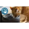 Automātiskā mājdzīvnieku ūdens strūklaka Philips 3000 Series PAW3210/02, 2,2 L, USB/AC, melna, plastmasa