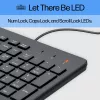 HP 150 vadu tastatūra, pilna izmēra, USB, melna, 1 m kabelis
