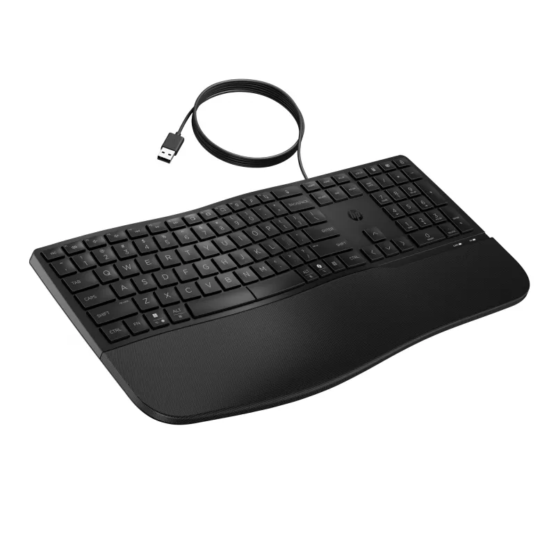 HP 480 Comfort vadu tastatūra, pilna izmēra, USB, melna, 1,5 m
