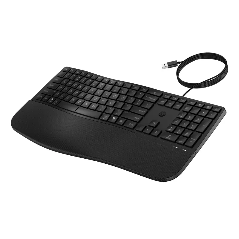 HP 480 Comfort vadu tastatūra, pilna izmēra, USB, melna, 1,5 m