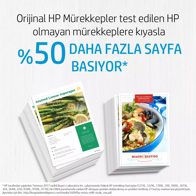 HP 300 tintes krāsu Vivera 4 ml