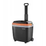 Portable travel refrigerator Ravanson CS-28S Super 28 L AC/DC compact thermo-electric cooler