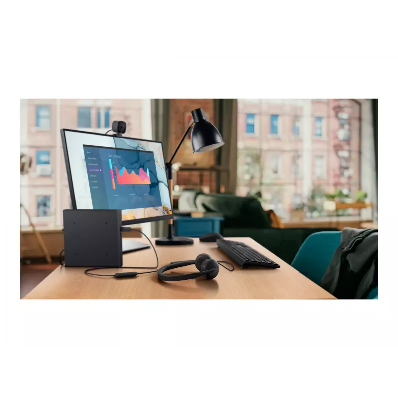 Austiņas WH3024/520-BBDH Dell