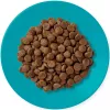 APPLAWS Adult Ocean fish with salmon - sausā kaķu barība - 1,8kg