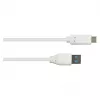 Good Connections 2831-AC010W - 1 m - USB A - USB C - USB 3.2 Gen 2 (3.1 Gen 2) - 10000 Mbit/s - Balts