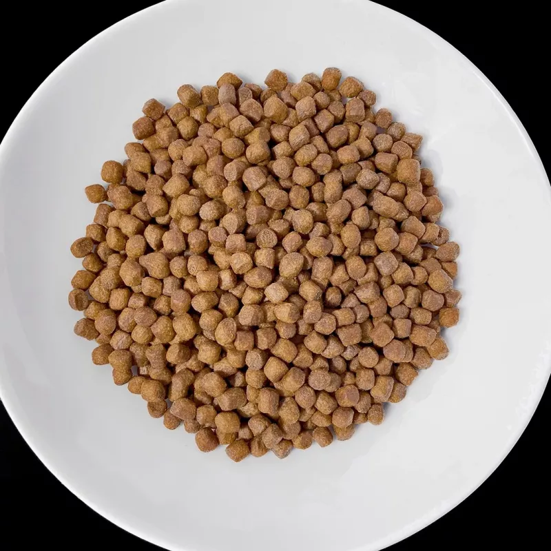VET RESPONSE Renal - sausa suņu barība - 1,6 kg