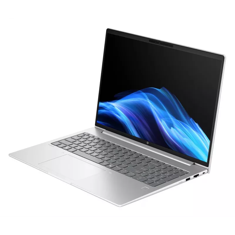 HP ProBook 4 G1a R7-250 16,0 collu 512 GB SSD 16 GB RAM Windows 11 Pro