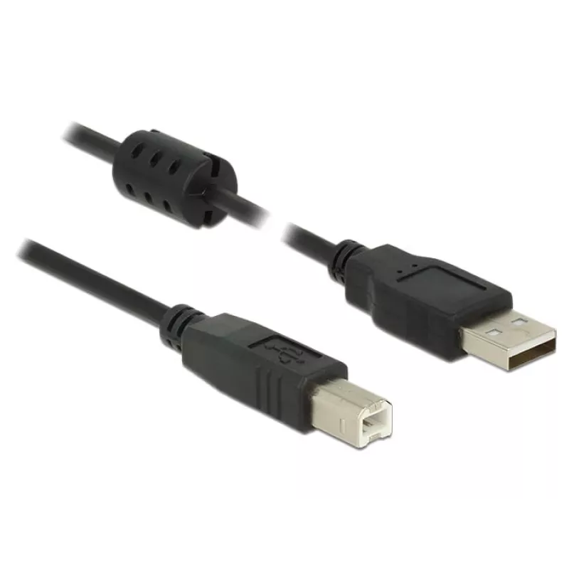 USB kabelis DeLOCK 1m USB 2.0-A/USB 2.0-B