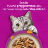 Mitrā kaķu barība Whiskas Tasty Mix šefpavāra izlase mērcē 40×85 g paciņas