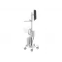 Ergotron 24-818-211 displejs