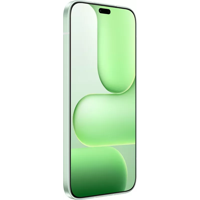 Honor 600 Lite 16.8 cm (6.6 inch) Dual SIM Android 16.0 5G USB Type-C 8 GB 256 GB 6520 mAh zaļa