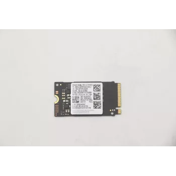 Lenovo 5SS0V42253 iekšējais cietvielu disks M.2 256 GB PCI Express (5SS0V42253)