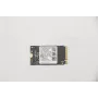 Lenovo 5SS0V42253 iekšējais cietvielu disks M.2 256 GB PCI Express (5SS0V42253)