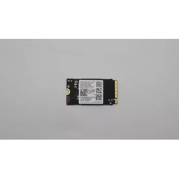 SSD disks Lenovo 256GB M.2 NVMe PCIe 5SS0Z86692