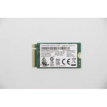 SSD disks Lenovo 256GB PCIe 2242 M.2 5SS1B60643
