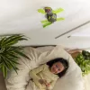 HEX BOTS | Interaktīva rotaļlieta Wall Crawler Gecko RC robots | Zaļš/Pelēks