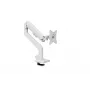 Monitora kronšteins Arozzi AZ-ALZARE-NEO-WT balts 9kg VESA 75x75 100x100