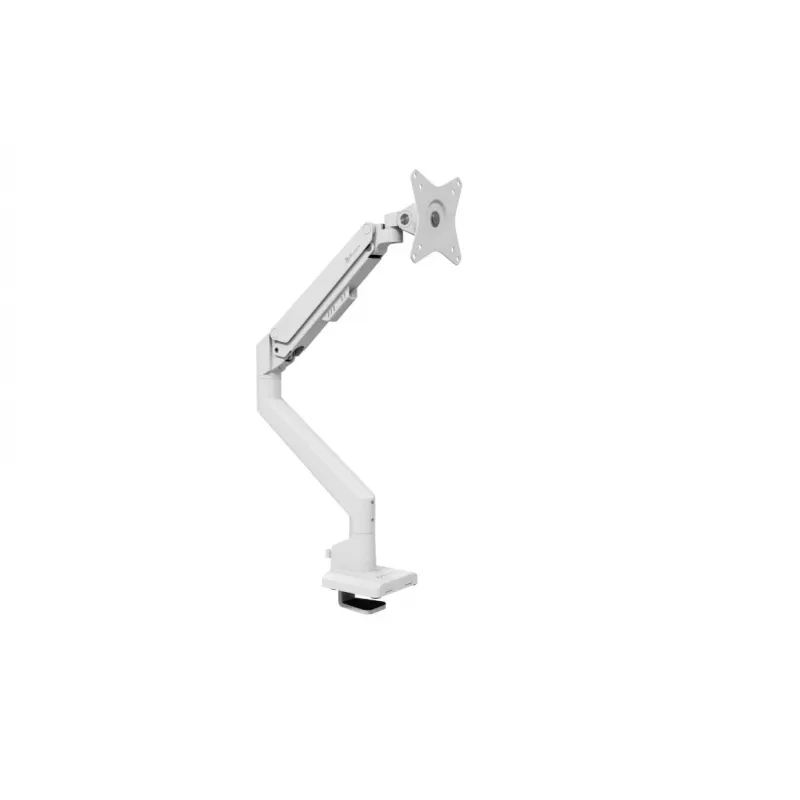 Monitora kronšteins Arozzi AZ-ALZARE-NEO-WT balts 9kg VESA 75x75 100x100