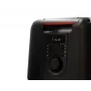 Bluetooth skaļrunis FERGUSON REGENT Power Audio 400BT RGB 60W FM USB AUX DSP melns