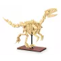 Būvēšanas komplekts Jamara CaDA Dinozauru fosilija Velociraptor — 256 gabali, vecums 8+, bēšs/brūns