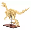 Būvēšanas komplekts Jamara CaDA Dinozauru fosilija Velociraptor — 256 gabali, vecums 8+, bēšs/brūns