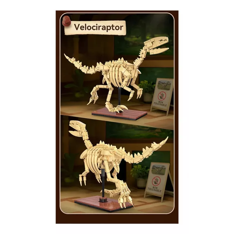 Būvēšanas komplekts Jamara CaDA Dinozauru fosilija Velociraptor — 256 gabali, vecums 8+, bēšs/brūns