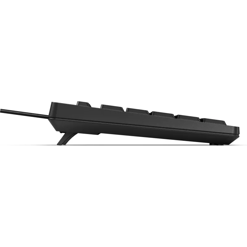 HP 125 vadu tastatūra, pilna izmēra USB membrānas tipa, melna