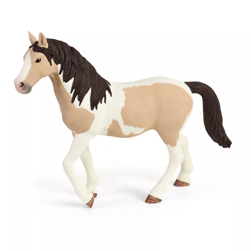Piedzīvojumu/Piedzīvojumu Schleich HORSE CLUB Sāras kempinga piedzīvojums vecumam no 5 līdz 12 gadiem
